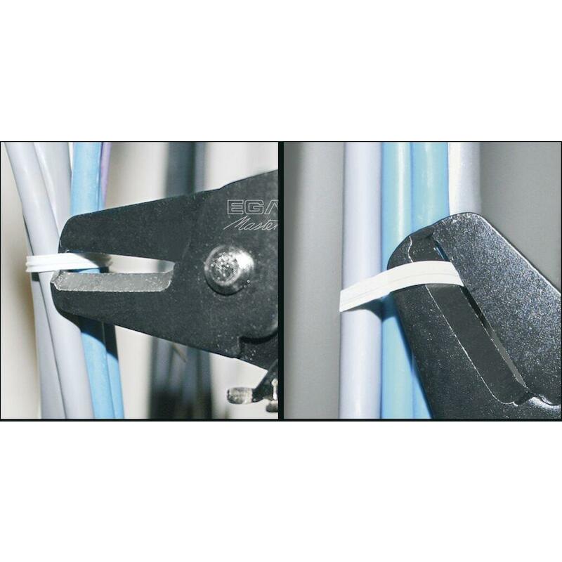 DASSNIJDER PLASTIC 150MM    63915       EGA MASTER