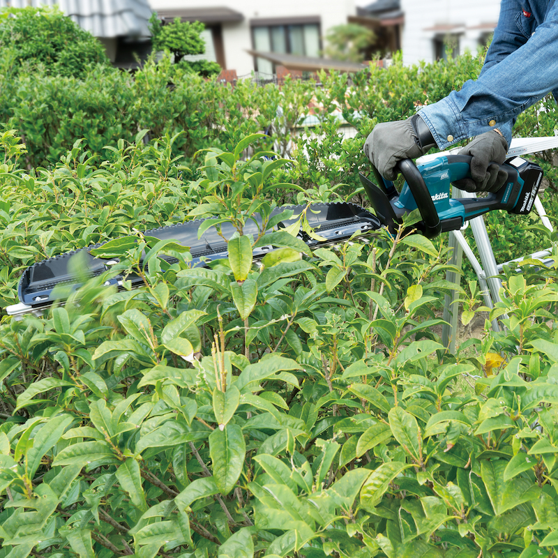 TAILLE-HAIE LXT® - DUH606Z - MAKITA