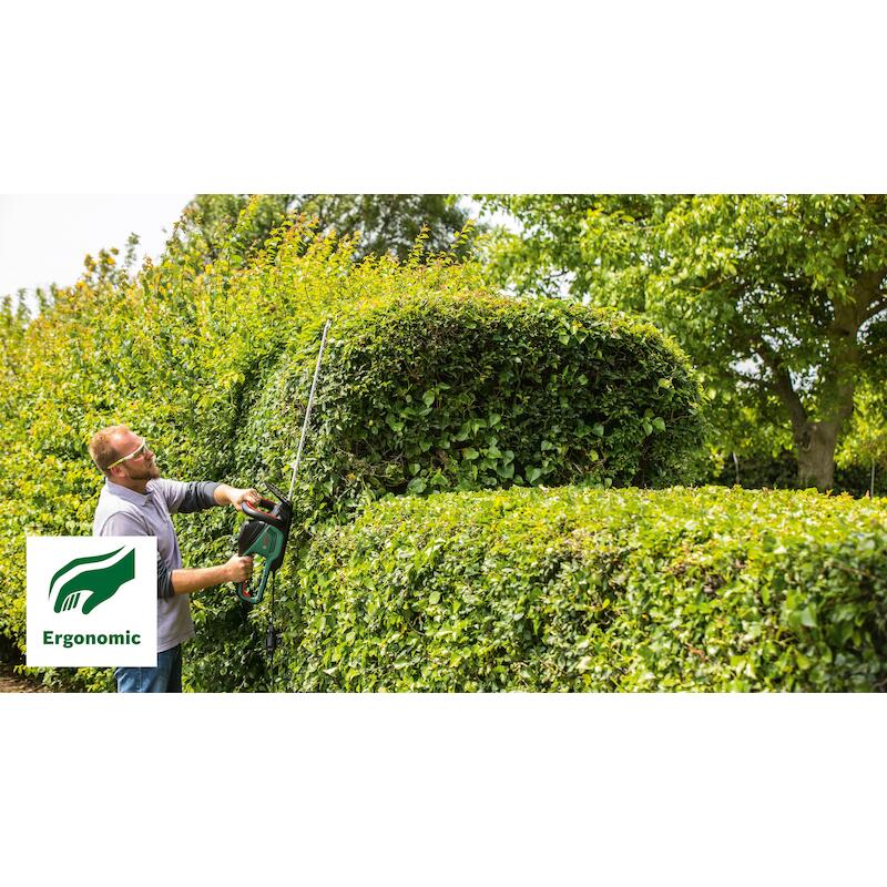 TAILLE-HAIE 500W 65CM       ADVANCEDHEDGECUT 65