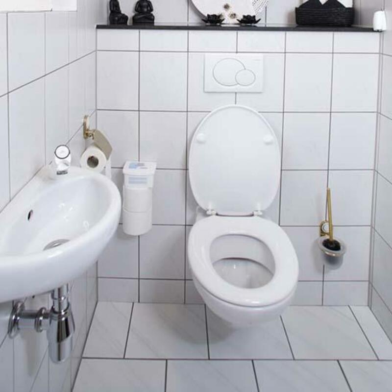 NETTOYANT TOILETTES         320050103     500ML HG