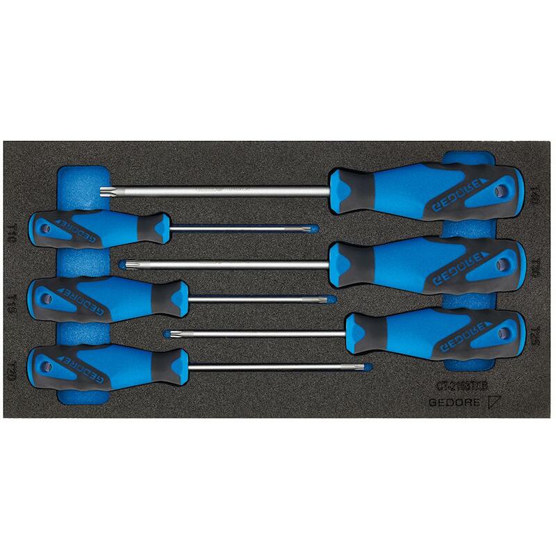 CHECK-TOOL INSERT + ASSORT. 1500 CT1-2163 TX GEDOR