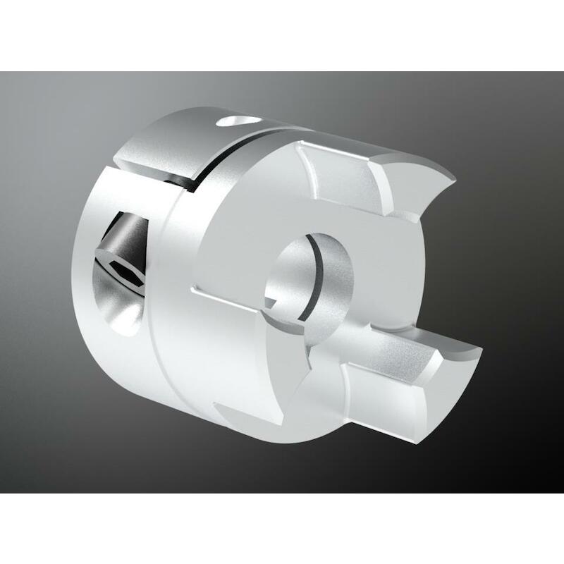 KLEMNAAF 2.6 Ø28H7 SPIEBAAN ROTEX GS 38 AL-H