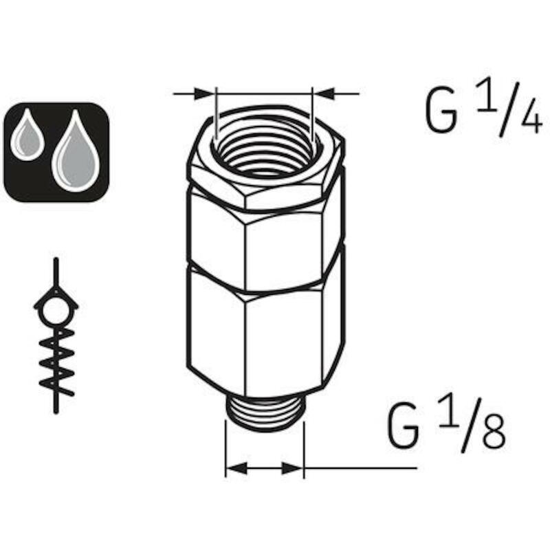 TERUGSLAGKLEP 1/8"M/V BSPP  LAPV 1/8           SKF