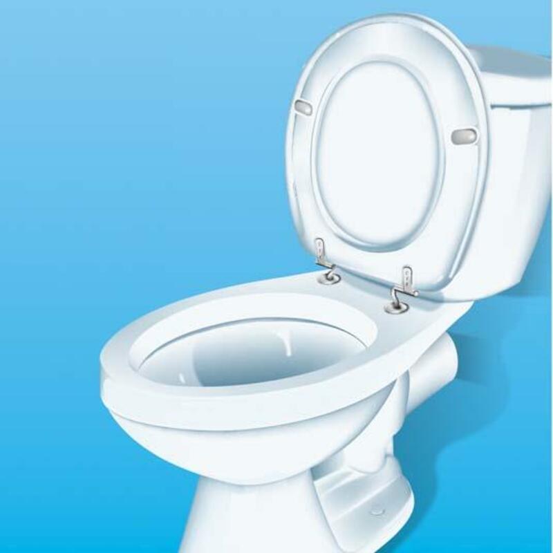 ODEURS MAUVAISES TOILETTES  446040103     400ML HG