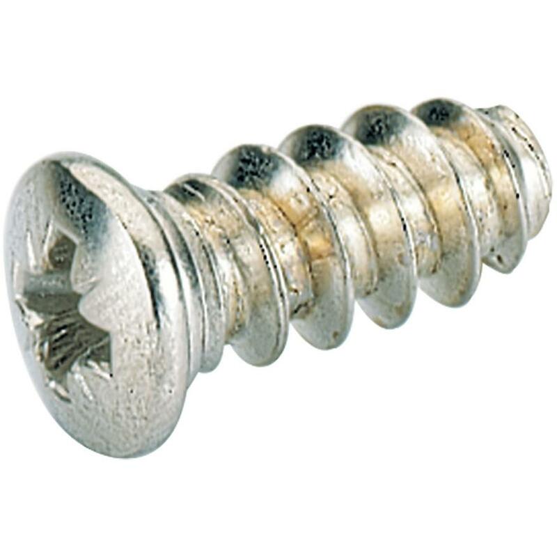 DIR.BEVEST.SCHROEF Ø 6,0X13,7         HETT-9137686