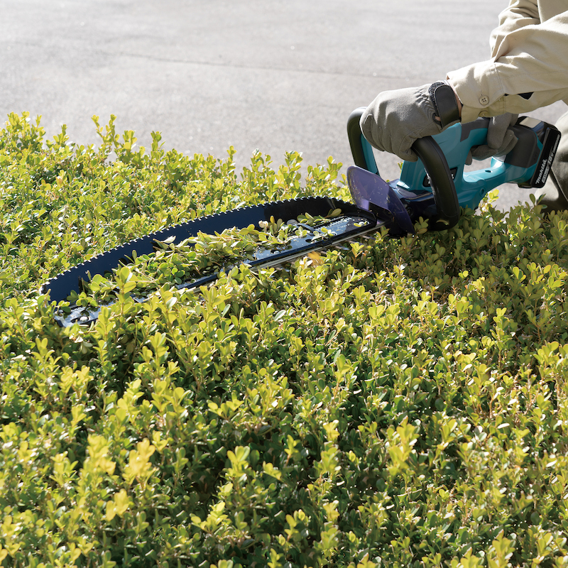 TAILLE-HAIE LXT® - DUH507Z - MAKITA