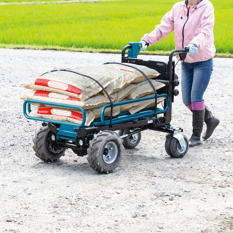 BROUETTE LXT® - DCU604Z - MAKITA